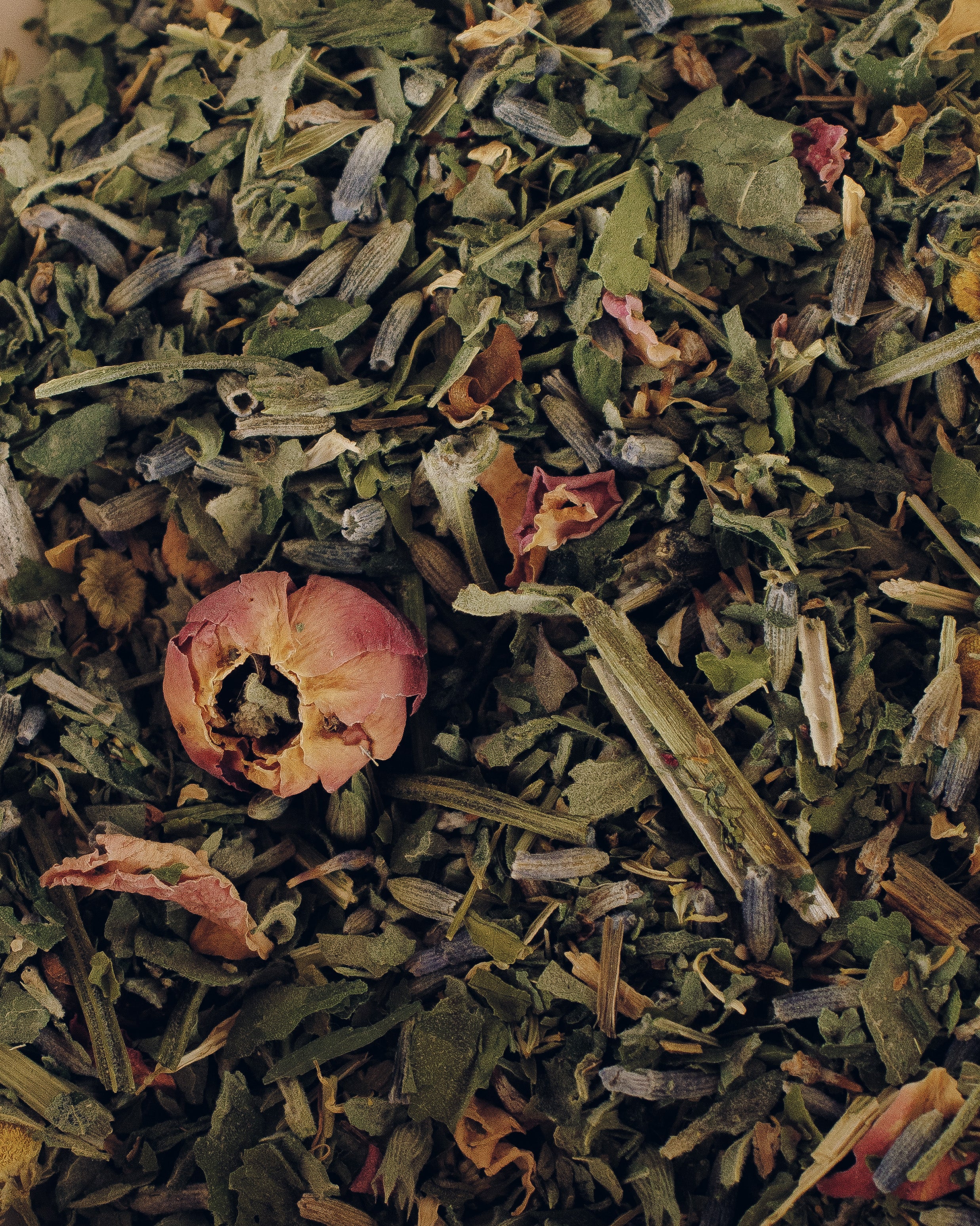 Sleep Tea Loose Leaf Tea - GOOD FRIEND