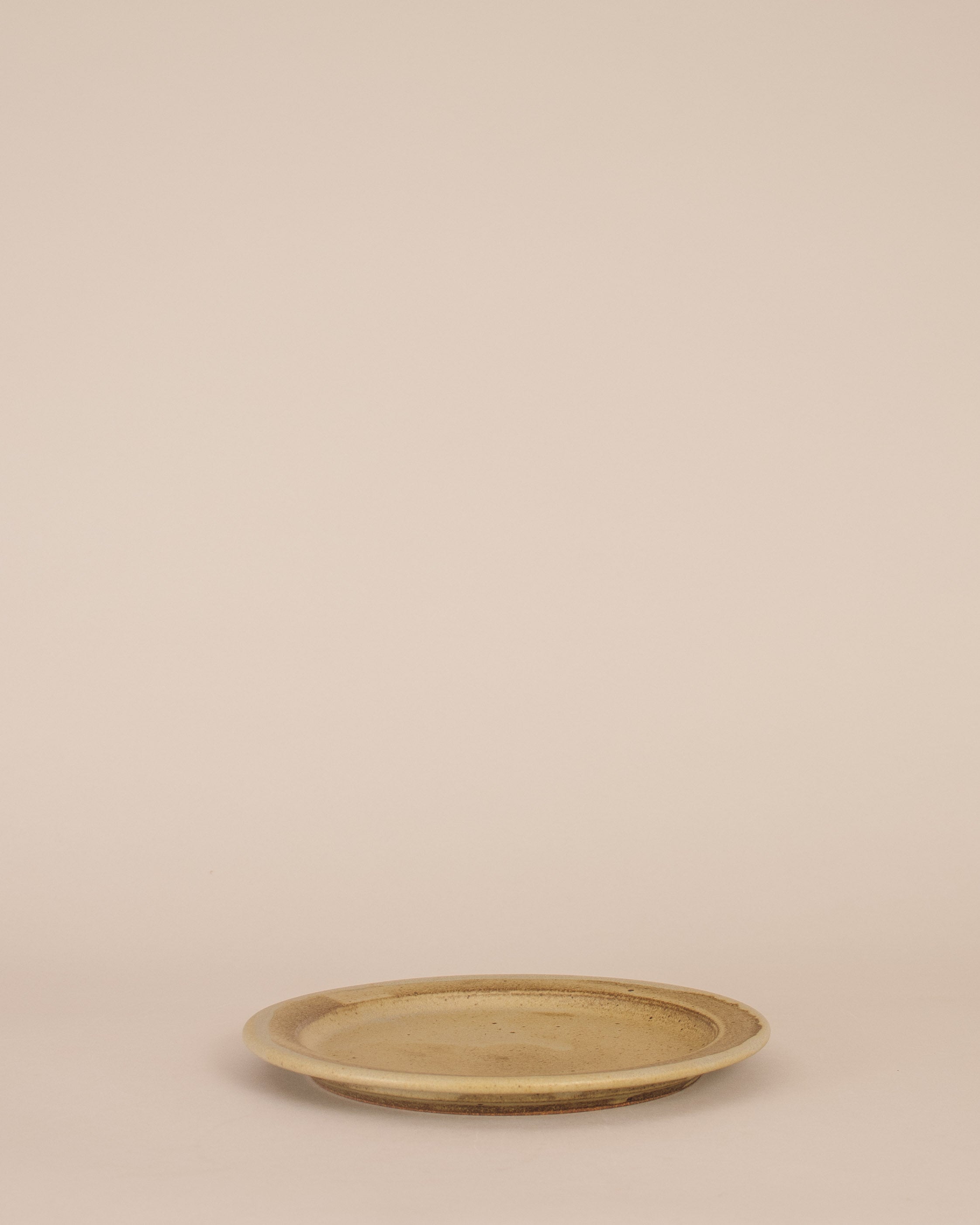 Rimmed Dinner Plate in Lichen - GOOD FRIEND