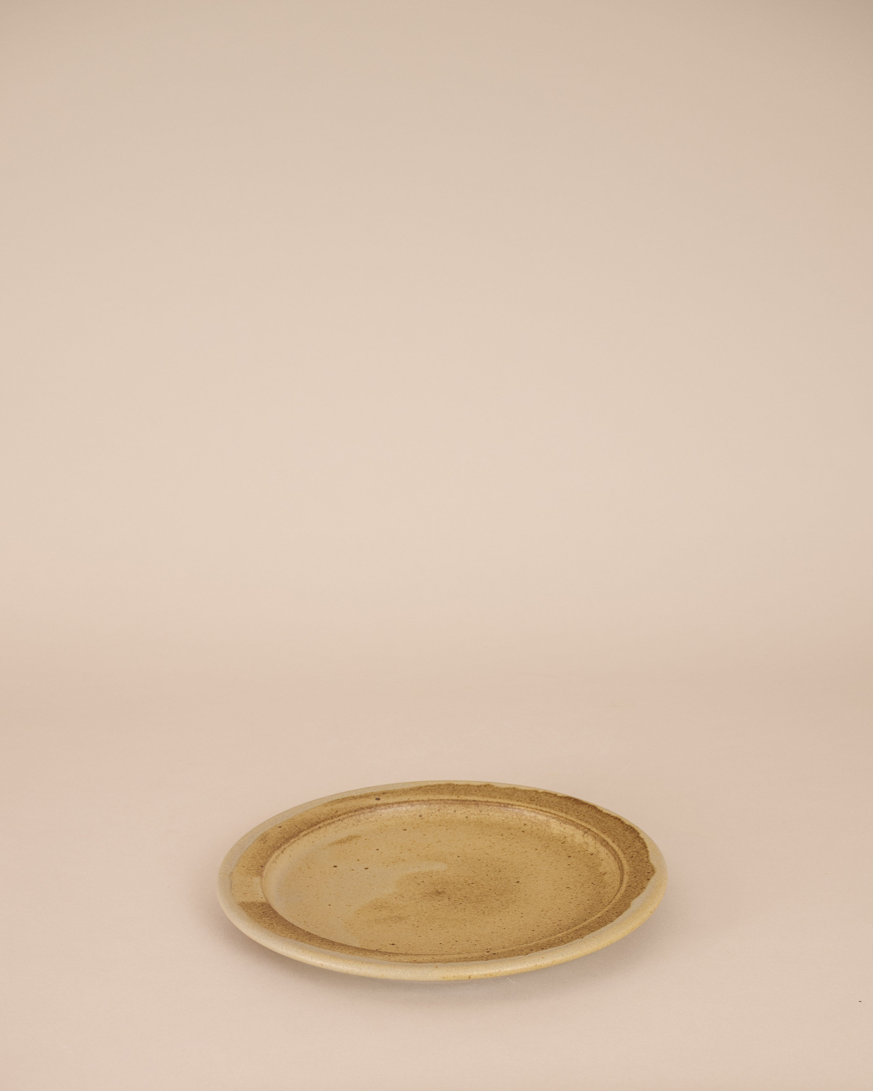 Rimmed Dinner Plate in Lichen - GOOD FRIEND