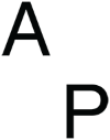 All Purpose