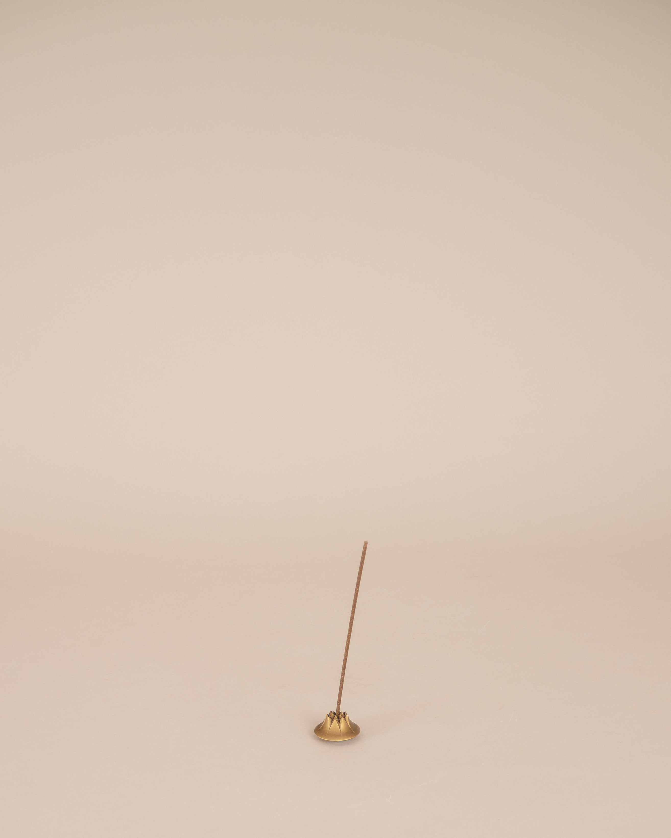 Agave Incense Holder - GOOD FRIEND