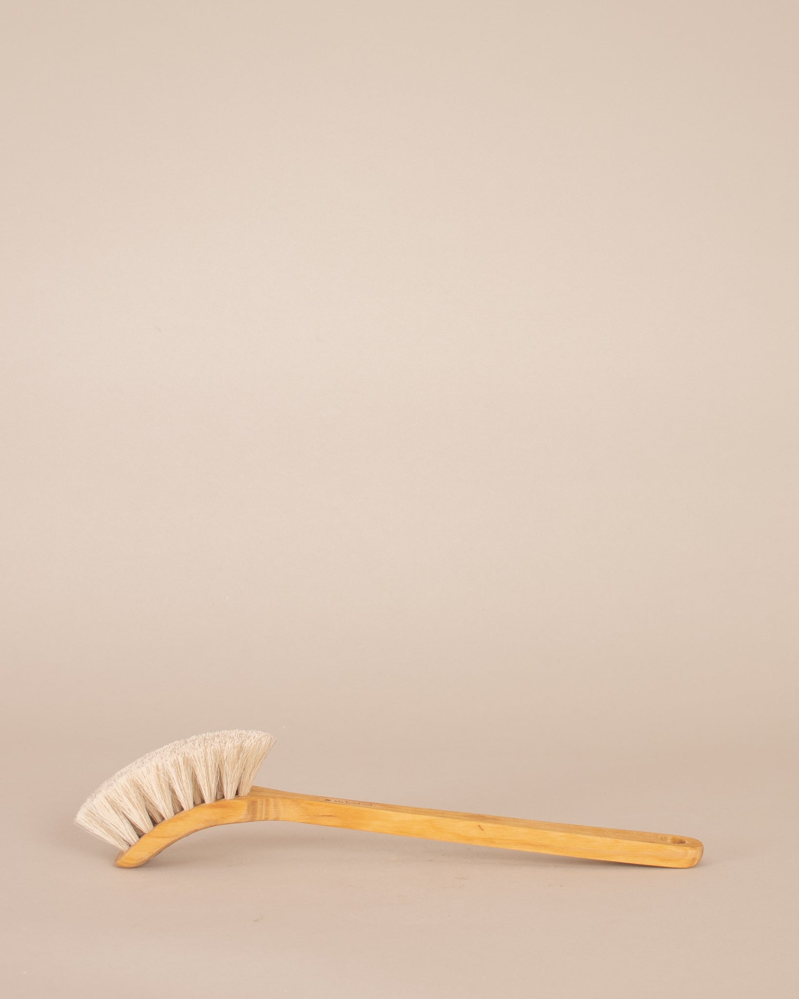 Dish Brush