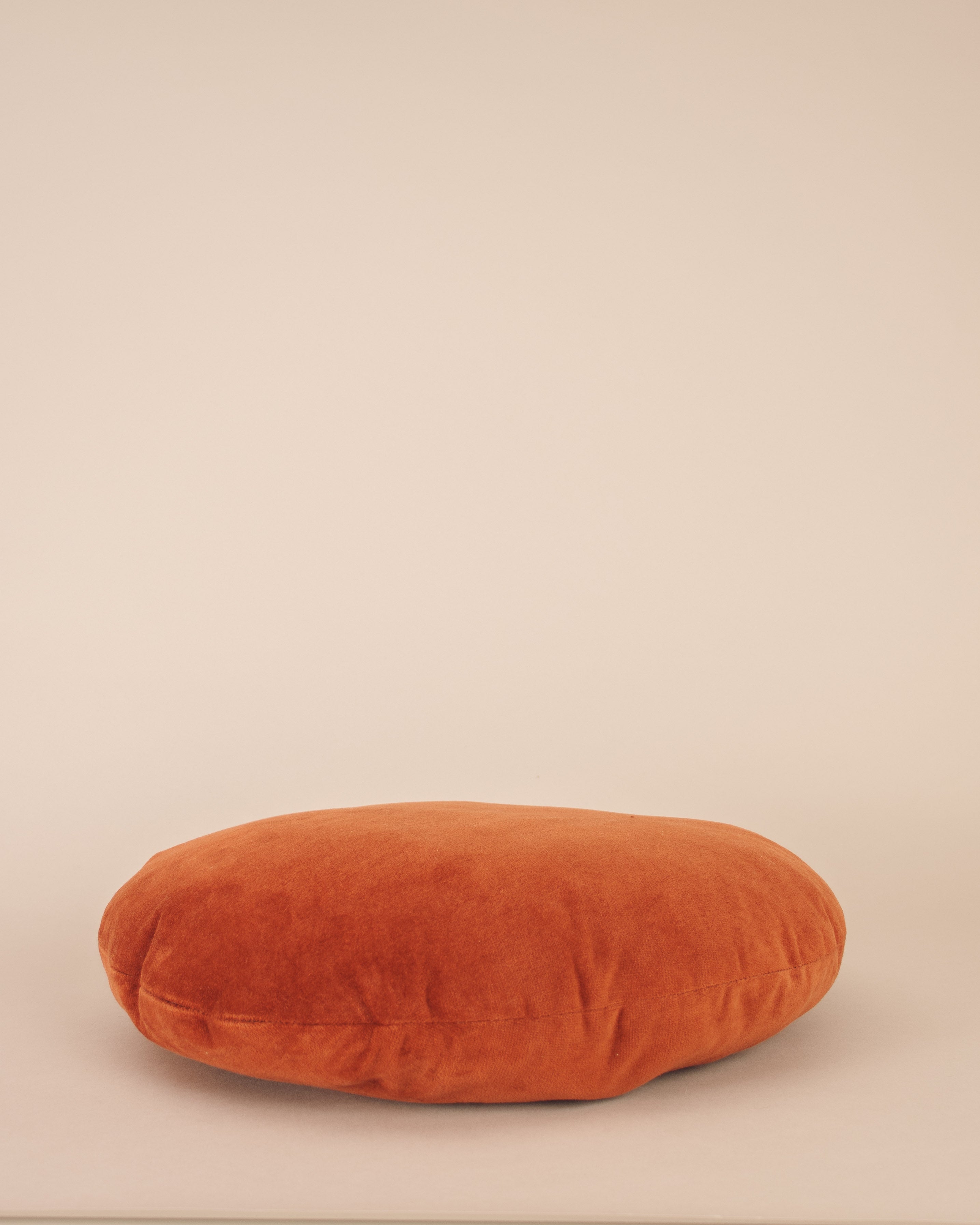 Burnt Umber Disc Cushion - GOOD FRIEND