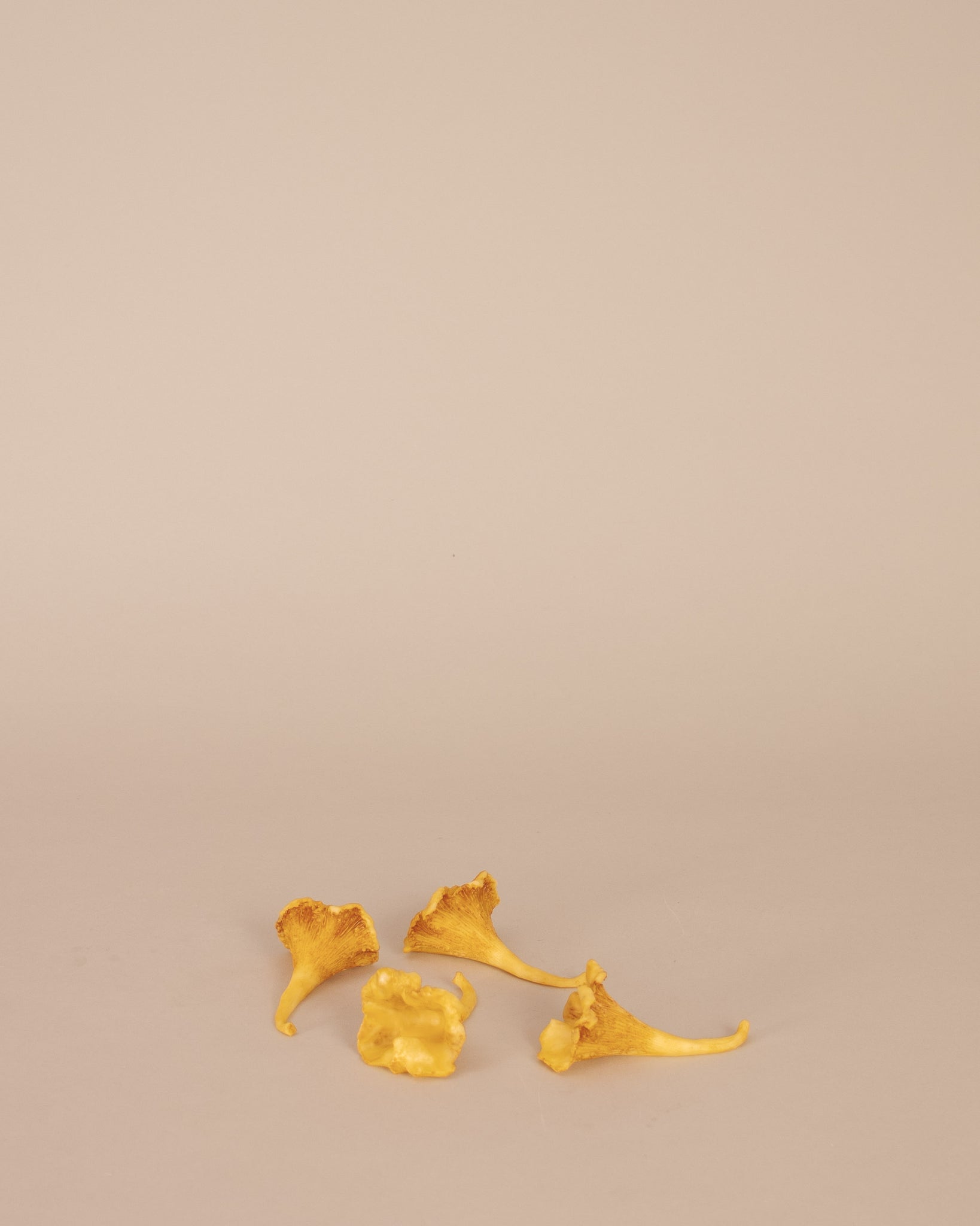 Chanterelles Knife Rest Set