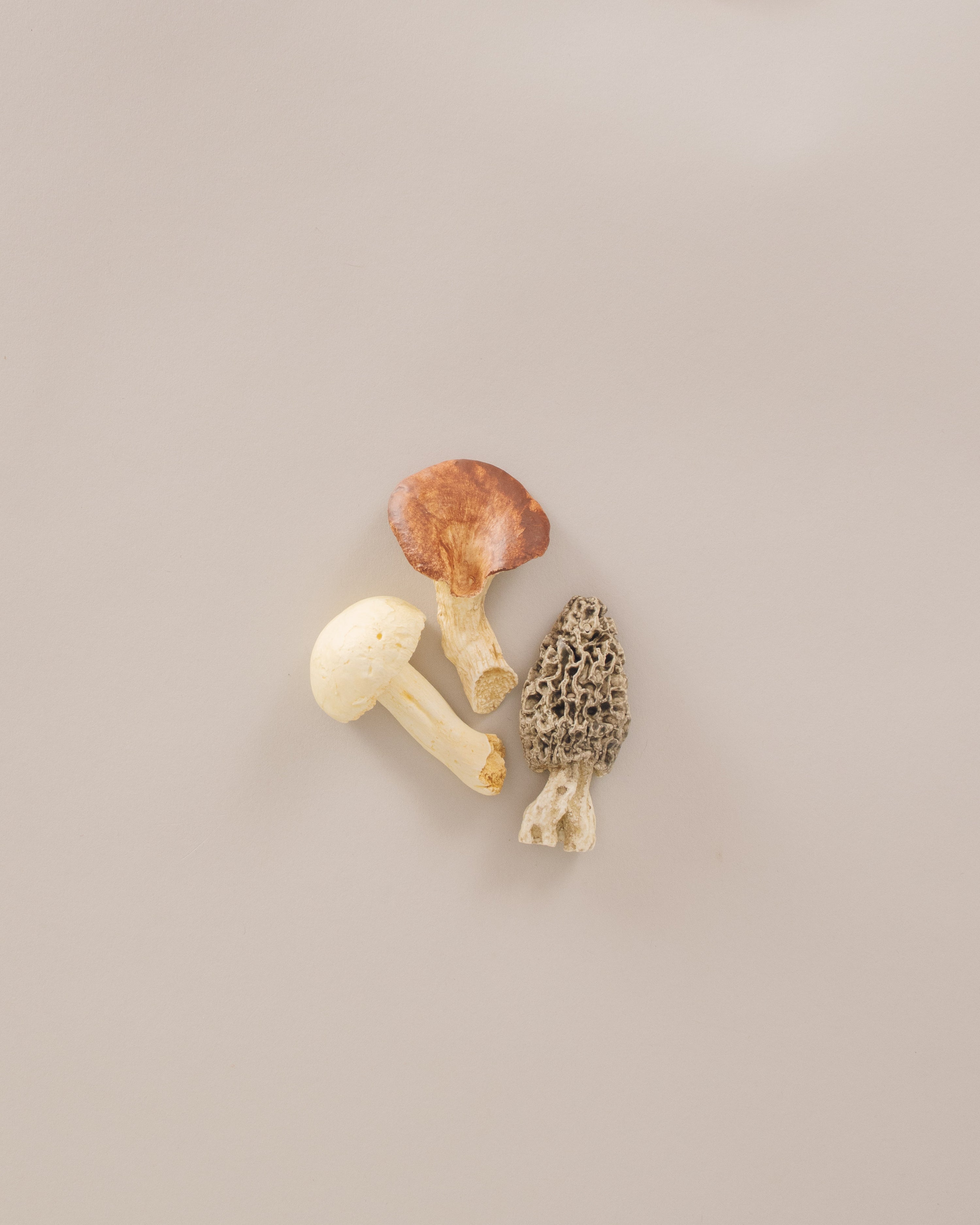 Mushroom Knife Rest Set