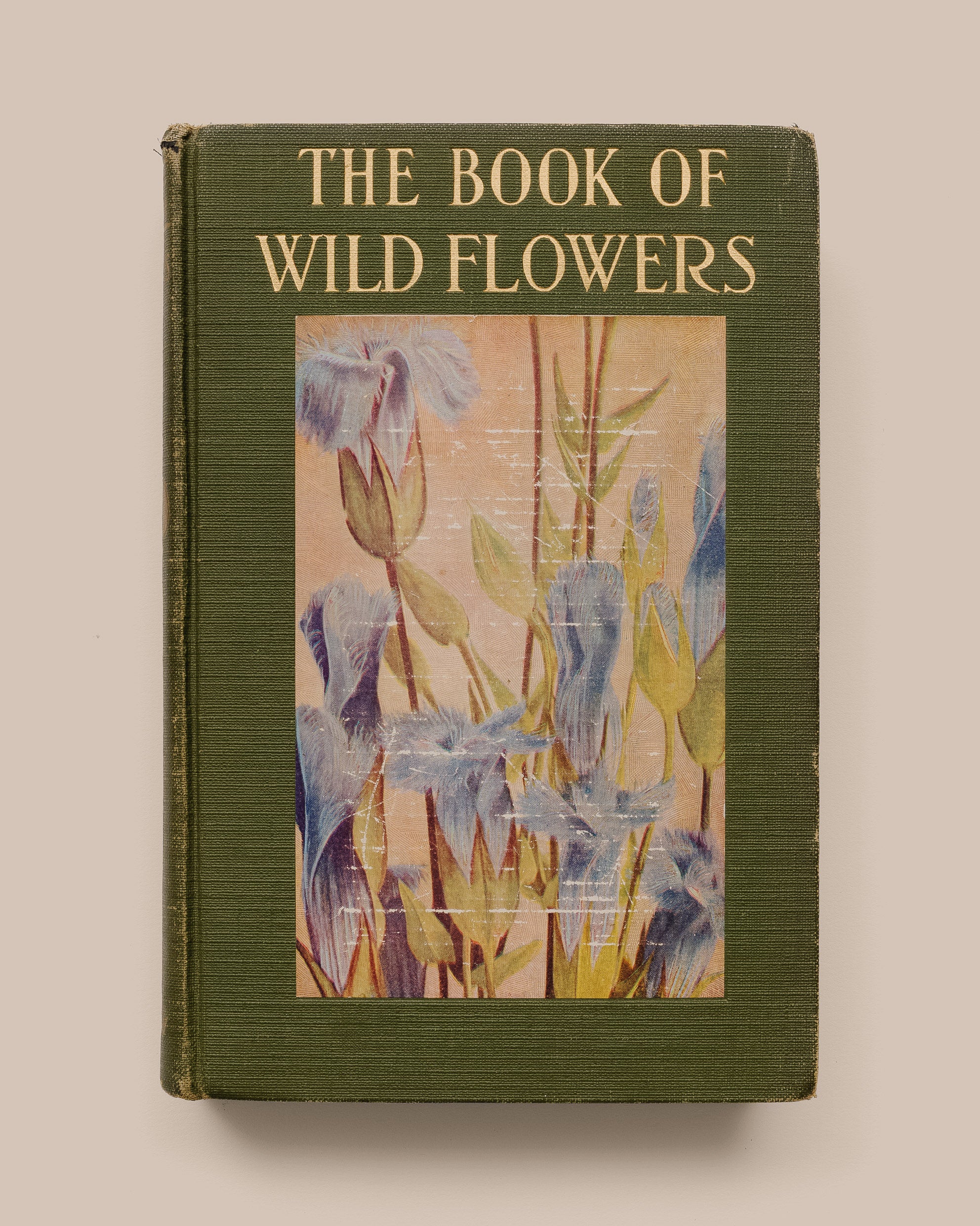 Wildflowers Worth Knowing - Neltje Blantjan Reprinted 1934 - GOOD FRIEND