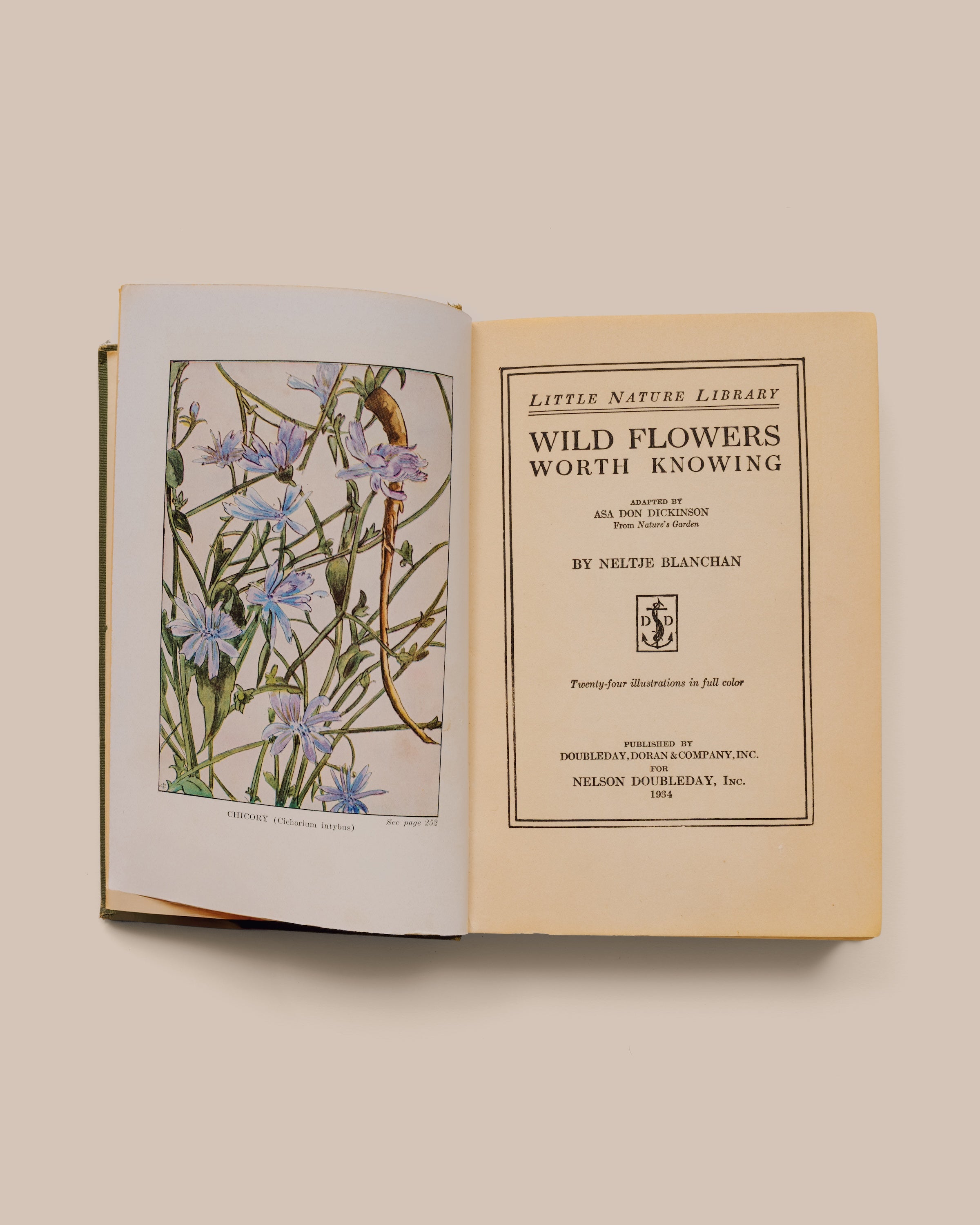 Wildflowers Worth Knowing - Neltje Blantjan Reprinted 1934 - GOOD FRIEND