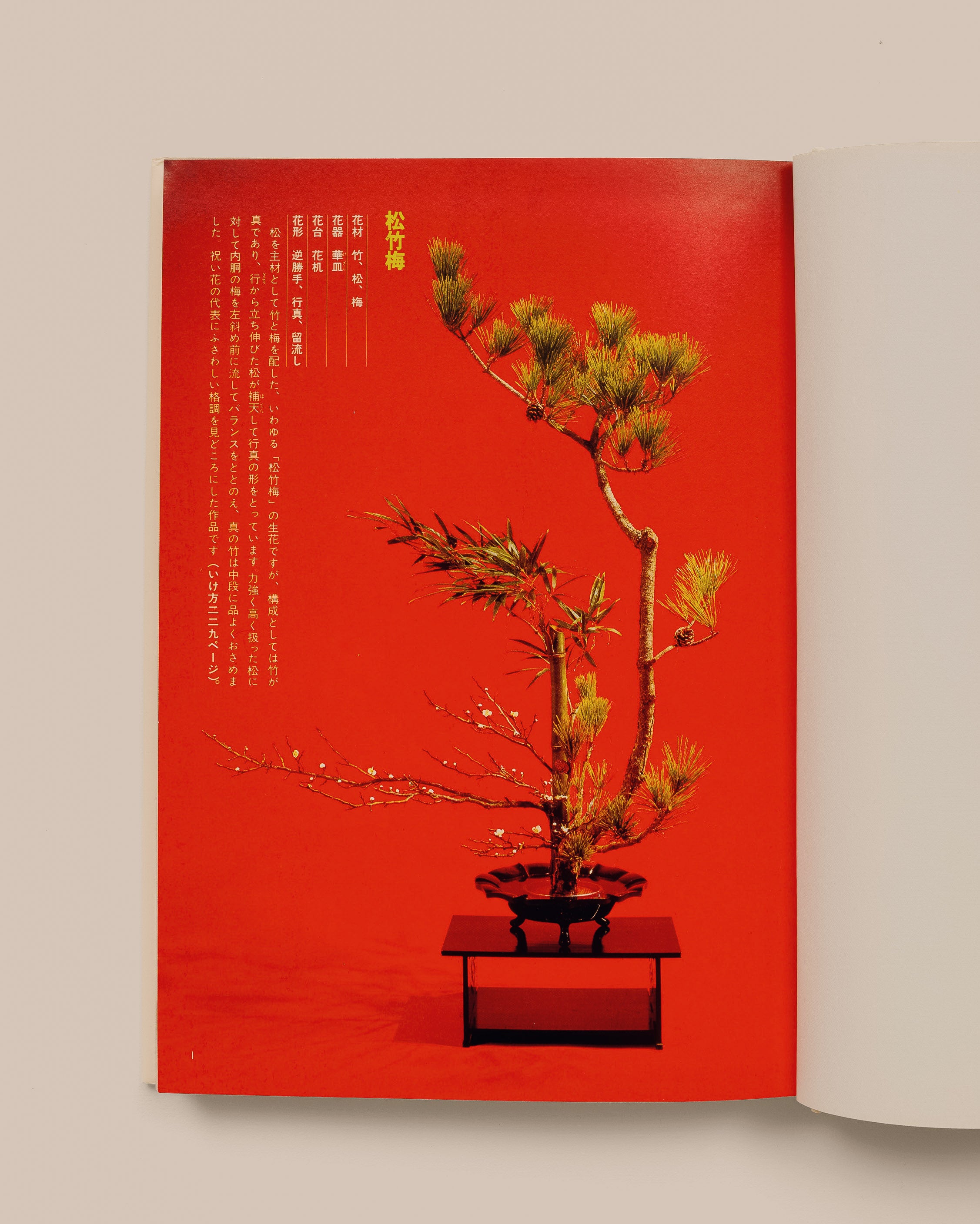 Seifu Enshu Style Ikebana - Kazuma Ashida - GOOD FRIEND