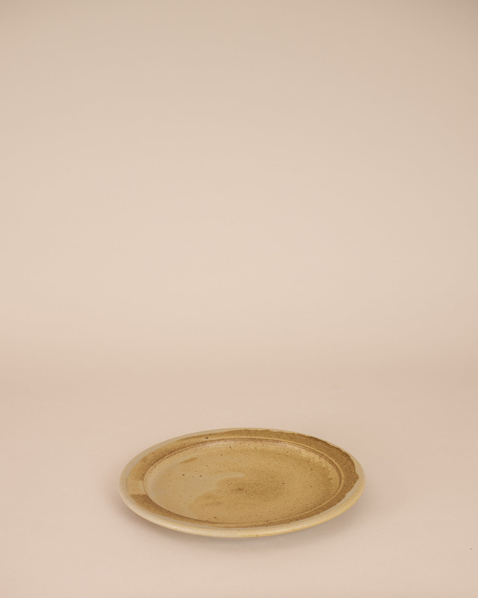 Rimmed Dinner Plate in Lichen