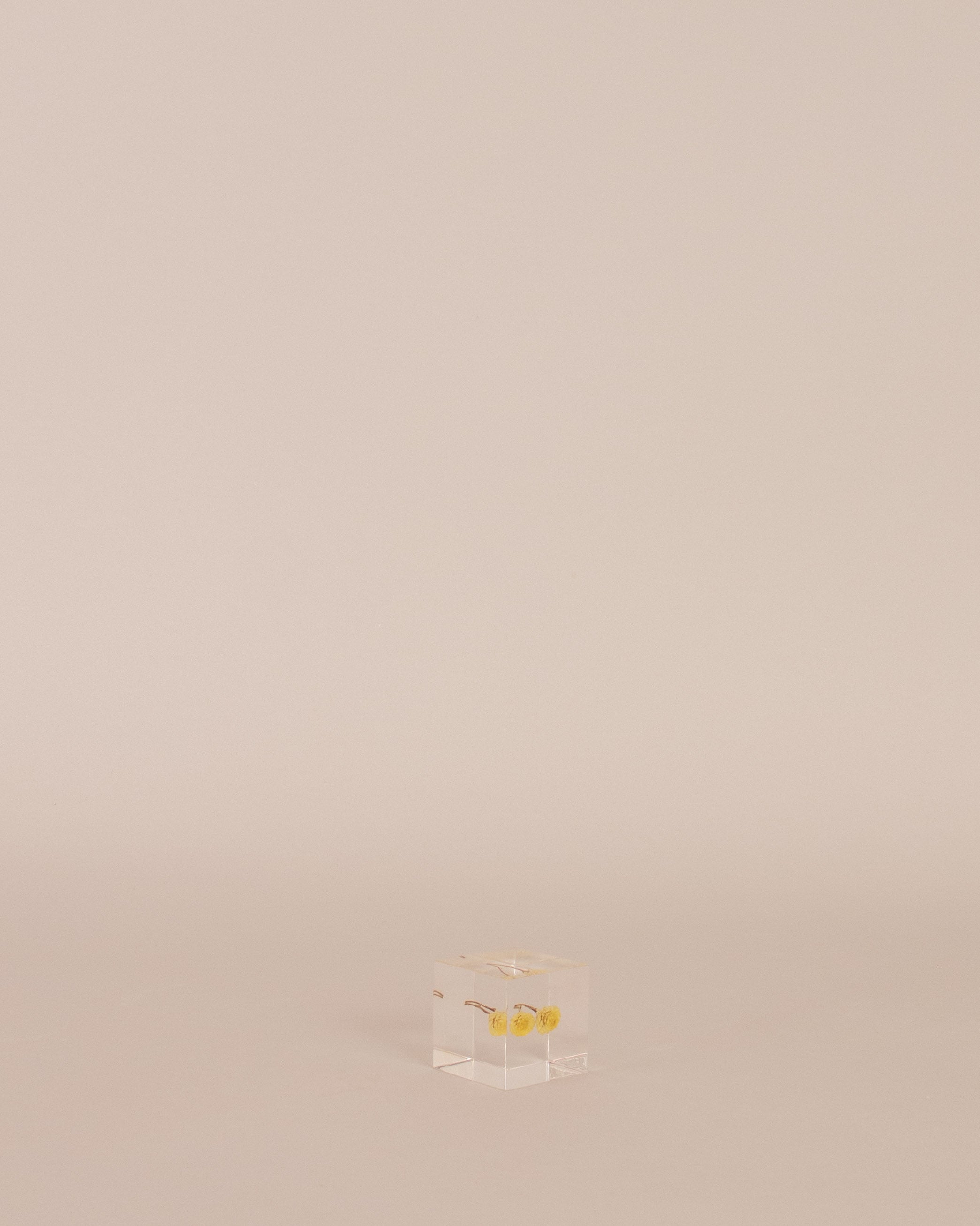 Immortelle Sola Cube