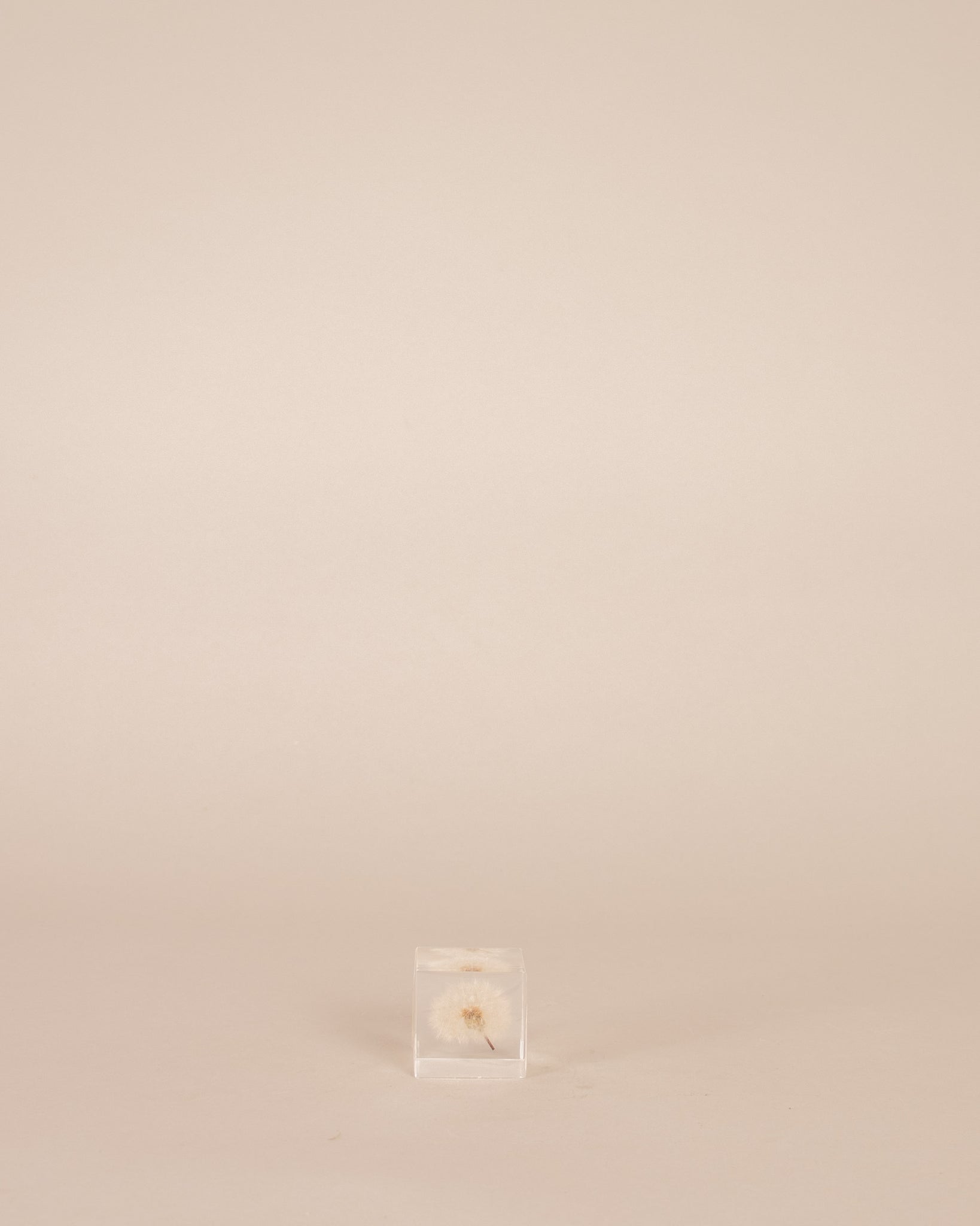 Dandelion Sola Cube