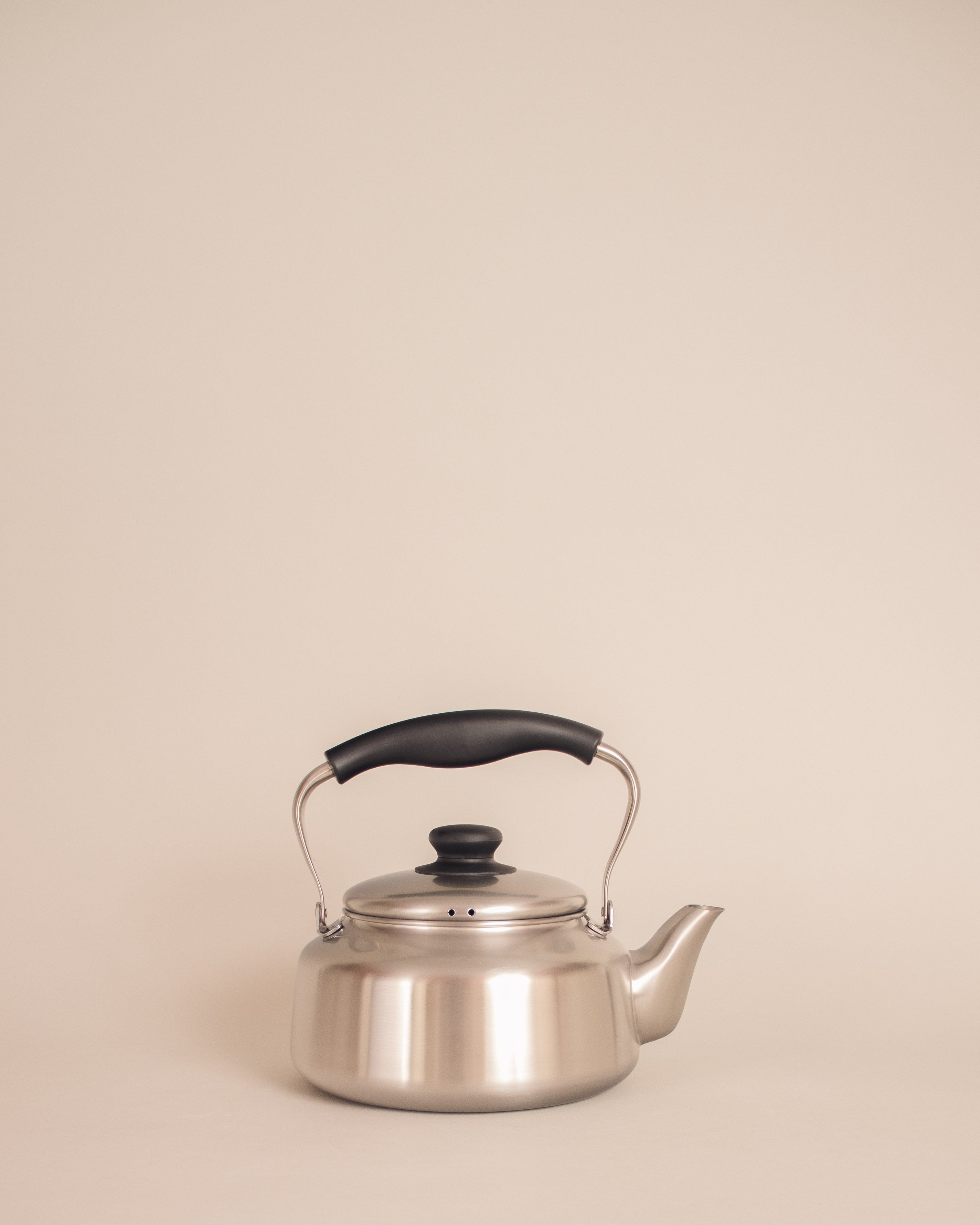 Stainless Steel Kettle
